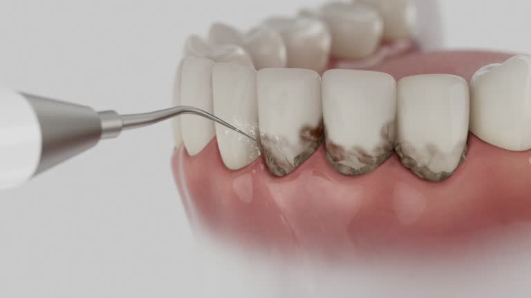 Reliable Dental contractor in Bayou La Batre, AL by Dentist Open Now
